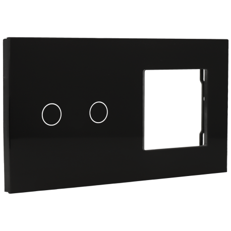 Switch panel with 2 buttons and frame for 1 device